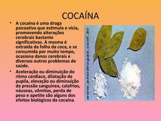 COCAÍNA
• A cocaína é uma droga
  psicoativa que estimula e vicia,
  promovendo alterações
  cerebrais bastante
  significativas. A mesma é
  extraída da folha da coca, e se
  consumida por muito tempo,
  ocasiona danos cerebrais e
  diversos outros problemas de
  saúde.
• Aceleração ou diminuição do
  ritmo cardíaco, dilatação da
  pupila, elevação ou diminuição
  da pressão sanguínea, calafrios,
  náuseas, vômitos, perda de
  peso e apetite são alguns dos
  efeitos biológicos da cocaína.
 