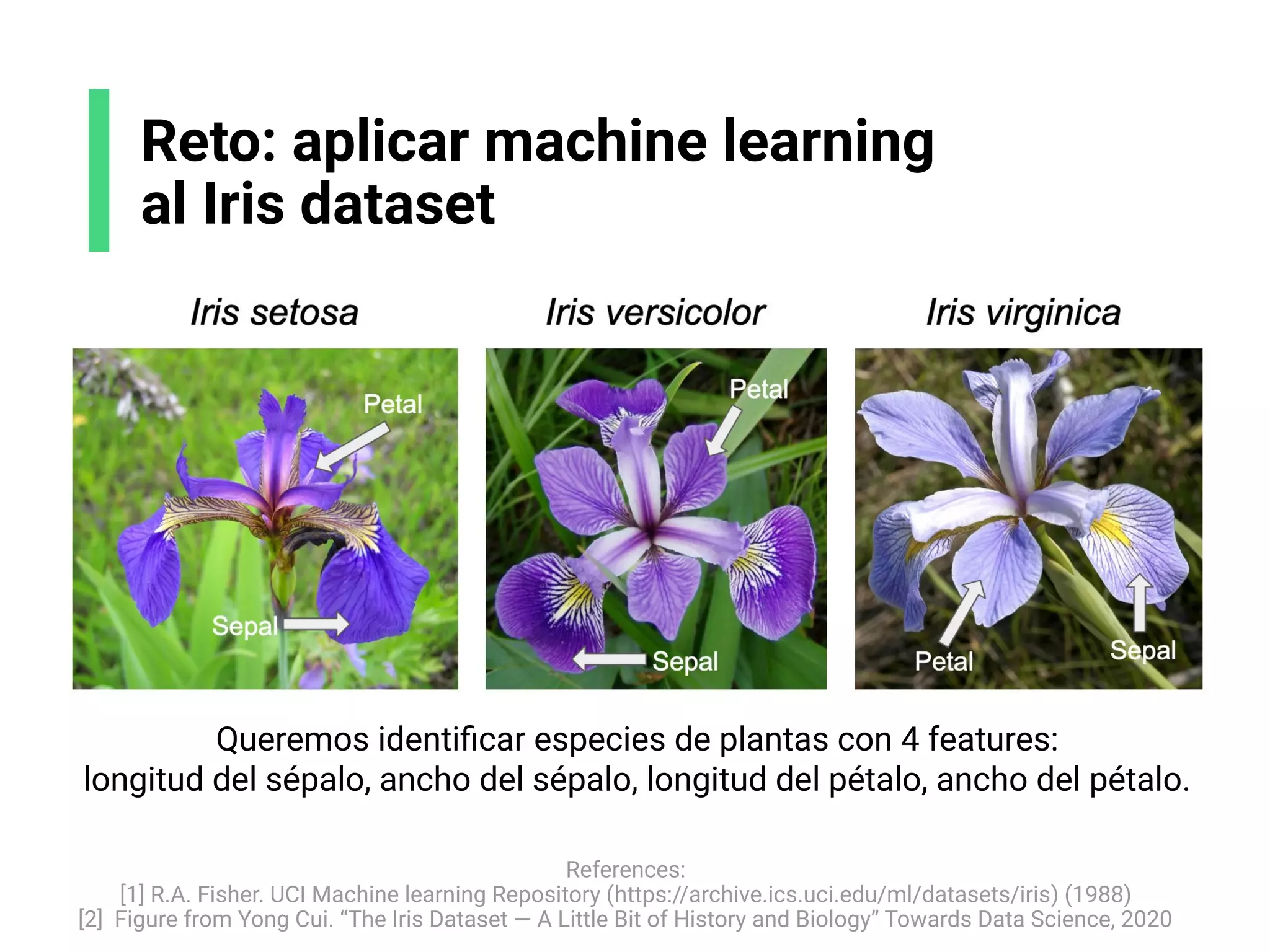 Reto: aplicar machine learning
al Iris dataset
References:
[1] R.A. Fisher. UCI Machine learning Repository (https://archive.ics.uci.edu/ml/datasets/iris) (1988)
[2] Figure from Yong Cui. “The Iris Dataset — A Little Bit of History and Biology” Towards Data Science, 2020
Queremos identiﬁcar especies de plantas con 4 features:
longitud del sépalo, ancho del sépalo, longitud del pétalo, ancho del pétalo.
 