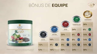 Slides 1º WorkShop Porto Alegre - RS