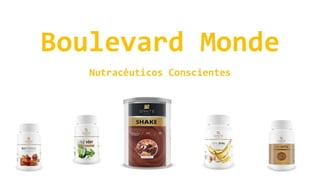 Slides 1º WorkShop Porto Alegre - RS