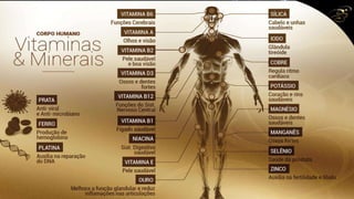 Slides 1º WorkShop Porto Alegre - RS