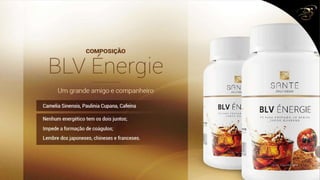 Slides 1º WorkShop Porto Alegre - RS