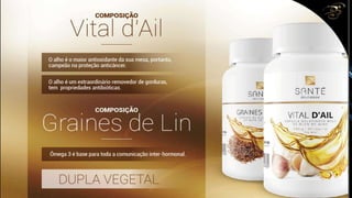 Slides 1º WorkShop Porto Alegre - RS