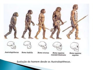 Evolução do homem desde os Australopithecus. 