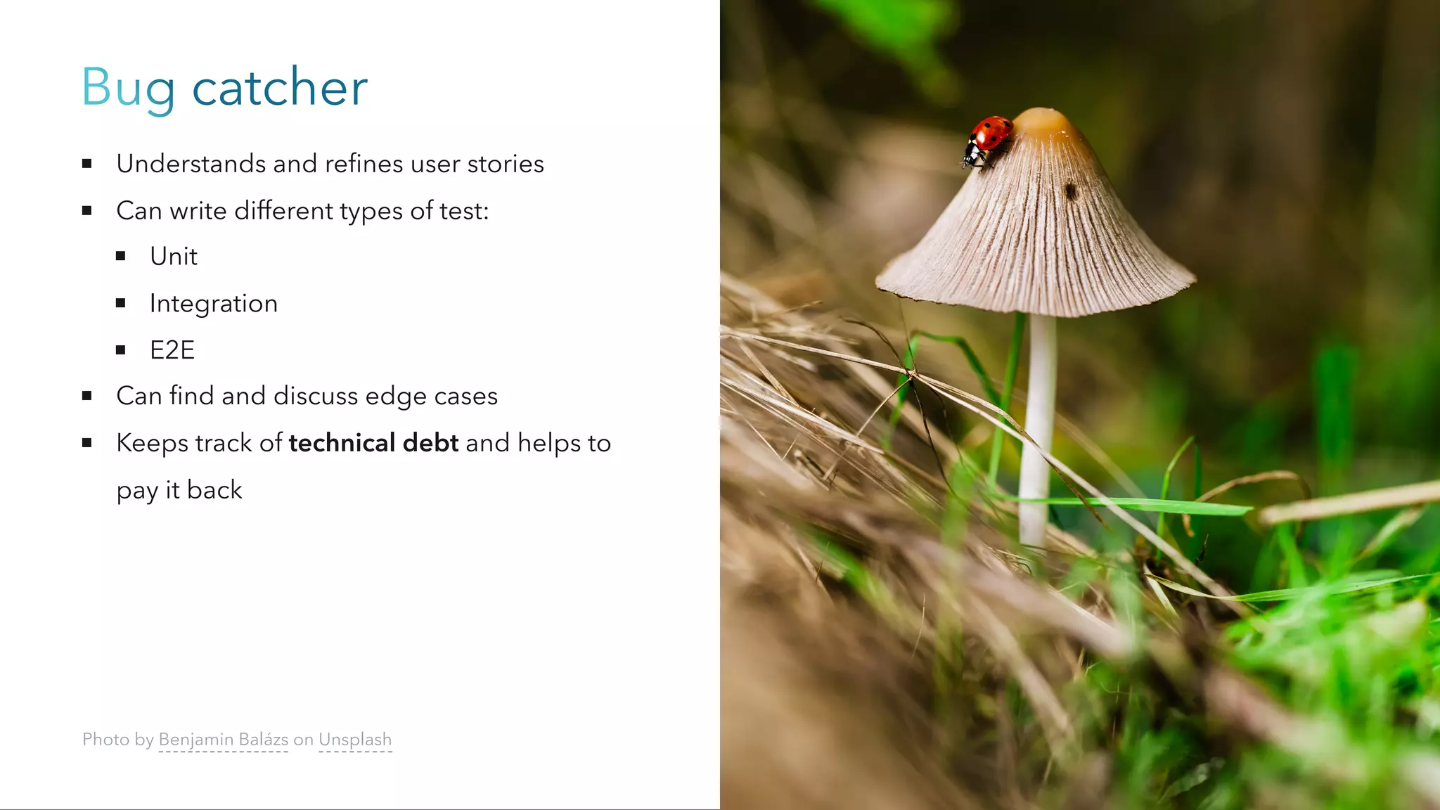 Bug catcher
Understands and refines user stories
Can write different types of test:
Unit
Integration
E2E
Can find and discuss edge cases
Keeps track of technical debt and helps to
pay it back
Photo by Benjamin Balázs on Unsplash
 