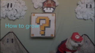 How to grow
 