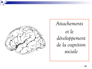 Attachements
et le
développement
de la cognition
sociale
25
 