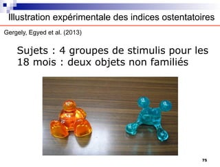 Sujets : 4 groupes de stimulis pour les
18 mois : deux objets non familiés
Illustration expérimentale des indices ostentatoires
Gergely, Egyed et al. (2013)
75
 