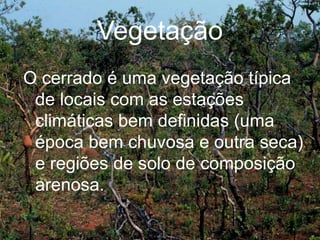 Vegetação
O cerrado é uma vegetação típica
de locais com as estações
climáticas bem definidas (uma
época bem chuvosa e outra seca)
e regiões de solo de composição
arenosa.
 