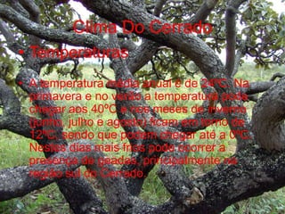 Clima Do Cerrado
• Temperaturas
• A temperatura média anual é de 24ºC. Na
primavera e no verão a temperatura pode
chegar aos 40ºC e nos meses de inverno
(junho, julho e agosto) ficam em torno de
12ºC, sendo que podem chegar até a 0ºC.
Nestes dias mais frios pode ocorrer a
presença de geadas, principalmente na
região sul do Cerrado.
 