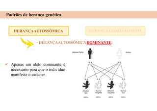 HERANÇAAUTOSSÔMICA
Padrões de herança genética
HERANÇA LIGADAAO SEXO
- HERANÇAAUTOSSÔMICADOMINANTE:
 Apenas um alelo dominante é
necessário para que o indivíduo
manifeste o caracter
 