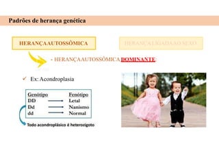 HERANÇAAUTOSSÔMICA
Padrões de herança genética
HERANÇA LIGADAAO SEXO
- HERANÇAAUTOSSÔMICADOMINANTE:
 Ex:Acondroplasia
 