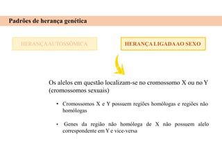 HERANÇAAUTOSSÔMICA
Padrões de herança genética
HERANÇA LIGADAAO SEXO
Os alelos em questão localizam-se no cromossomo X ou no Y
(cromossomos sexuais)
• Cromossomos X e Y possuem regiões homólogas e regiões não
homólogas
• Genes da região não homóloga de X não possuem alelo
correspondente em Y e vice-versa
 