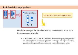 HERANÇAAUTOSSÔMICA
Padrões de herança genética
HERANÇA LIGADAAO SEXO
Os alelos em questão localizam-se no cromossomo X ou no Y
(cromossomos sexuais)
• A HERANÇA LIGADA AO SEXO é determinada por gene presente
em uma região de X que não apresenta homologia em Y (e vice-versa),
e por isso não se manifestam na mesma proporção nos dois sexos
 