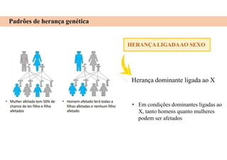 Padrões de herança genética
HERANÇA LIGADAAO SEXO
Herança dominante ligada ao X
• Em condições dominantes ligadas ao
X, tanto homens quanto mulheres
podem ser afetados
 