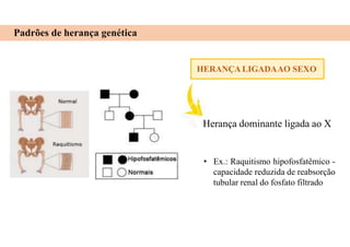 Padrões de herança genética
HERANÇA LIGADAAO SEXO
Herança dominante ligada ao X
• Ex.: Raquitismo hipofosfatêmico -
capacidade reduzida de reabsorção
tubular renal do fosfato filtrado
 