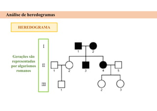 HEREDOGRAMA
Análise de heredogramas
Gerações são
representadas
por algarismos
romanos
 