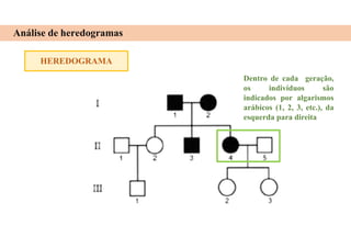 HEREDOGRAMA
Análise de heredogramas
Dentro de cada geração,
os indivíduos são
indicados por algarismos
arábicos (1, 2, 3, etc.), da
esquerda para direita
 
