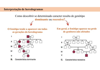 Interpretação de heredogramas
Como descobrir se determinado caracter resulta de genótipo
dominante ou recessivo?
Em geral, o fenótipo aparece na prole
de genitores não afetados
O fenótipo tende a aparecer em todas
as gerações do heredograma
 