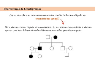 Interpretação de heredogramas
Como descobrir se determinado caracter resulta de herança ligada ao
cromossomo sexual?
Se a doença estiver ligada ao cromossomo X, os homens transmitirão a doença
apenas para suas filhas e só serão afetados se suas mães possuírem o gene.
 