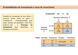 Probabilidades de transmissão e taxas de recorrência
Quando há cruzamento de dois alelos, é
possível anotar todos os genes e
combiná-los sistematicamente para
gerar arranjos de genótipos. Feito isso,
pode-se usar
dominância para
o Princípio da
determinar os
fenótipos associados.
 