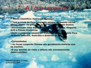 A Foca Leopardo Nome Cientifico:  Hydrurga leptonyx  Tem o nome de Foca Leopardo porque apresenta várias pintas pretas na garganta que é completamente branca. Alimentação: Esta espécie costuma caçar Lulas, Pinguins, Krill e Peixes Oceânicos. Onde a podemos encontrar: Podemos encontrar esta Foca na Nova Zelândia, Austrália e América do Sul.  Curiosidades: As Focas Leopardo fêmeas são geralmente maiores que os machos. O seu sentido de visão e olfacto são extremamente desenvolvidos. http://pt.wikipedia.org/wiki/Foca_leopardo Cláudia Carneiro, 11 anos, 22 Fevereiro 2007 