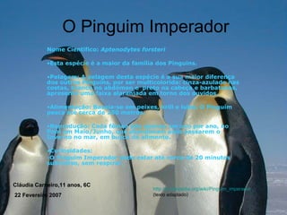 O Pinguim Imperador Nome Cientifico:  Aptenodytes forsteri   Esta espécie é a maior da família dos Pinguins. Pelagem: A pelagem desta espécie é a sua maior diferença dos outros Pinguins, por ser multicolorida: cinza-azulado nas costas, branco no abdómen e  preto na cabeça e barbatanas, apresenta uma faixa alaranjada em torno dos ouvidos. Alimentação: Baseia-se em peixes, krill e lulas. O Pinguim pesca até cerca de 250 metros. Reprodução: Cada fêmea põe apenas um ovo por ano, no final em Maio/Junho, que abandonam para passarem o Inverno no mar, em busca de alimento. Curiosidades:  -O Pinguim Imperador pode estar até cerca de 20 minutos submerso, sem respirar. http://pt.wikipedia.org/wiki/Pinguim_imperador (texto adaptado) Cláudia Carneiro,11 anos, 6C 22 Fevereiro 2007 