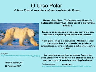 O Urso Polar  O Urso Polar é uma das maiores espécies de Ursos. Nome científico:  Thalarctos maritimus  da ordem dos  Carnivora  (carnívoro) e da família  Ursidae. Embora seja pesado e maciço, move-se com facilidade na paisagem branca do Árctico.  Tem pêlo longo e gorduroso. Mantém o seu corpo aquecido e a camada de gordura subcutânea é uma protecção adicional contra o frio.  As membranas entre os dedos fazem do urso-polar um nadador mais eficiente que os outros ursos. É o único que dispõe desse recurso .  Imagem: http://www.akatu.net/media/ursopolar_getty.jpg Texto adaptado http://www.geocities.com/colosseum/loge/9154/PLpolar.htm Inês Gil, 12anos, 6C 22 Fevereiro 2007 