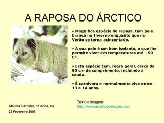 A RAPOSA DO ÁRCTICO Magnifica espécie de raposa, tem pele branca no Inverno enquanto que no Verão se torna acinzentado.  A sua pele é um bom isolante, o que lhe permite viver em temperaturas até  -50 Cº. Esta espécie tem, regra geral, cerca de 90 cm de comprimento, incluindo a cauda. É carnívora e normalmente vive entre 13 a 14 anos. Texto e imagem http://www.achetudoeregiao.com Cláudia Carneiro, 11 anos, 6C 22 Fevereiro 2007 