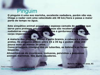 O pinguim é uma ave marinha, excelente nadadora, porém não voa. Chega a nadar com uma velocidade até 40 km/hora e passa a maior parte do tempo na água. Este simpático animal possui uma espessa camada de gordura que serve para proteger seu corpo. As asas são recobertas por nadadeiras com plumagem densa, lisa e gordurosa o que torna o corpo impermeável. A maioria dos pinguins possui o peito branco, a cabeça e o dorso pretos. Os pinguins pesam entre 15 a 35 kg e podem viver até pouco mais ou menos 30 anos.  Como principais inimigos têm os tubarões, as baleias e as focas-leopardo. Pinguim Alimentam-se de crustáceos, moluscos, peixinhos e pequenos animais marinhos. São ágeis caçadores. Texto e imagem http://www.petfriends.com.br/enciclopedia/esp_aves/aves_enciclopediapinguim.htm Mafalda Morais, 12 anos, 6C 22 Fevereiro 2007 