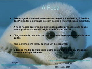 A Foca Este magnífico animal pertence à ordem dos Carnívoros, à família dos Pinípedes e alimenta-se com peixes e invertebrados marinhos.  A Foca habita preferencialmente nas costas arenosas e de águas pouco profundas, sendo originária da Ásia Central.  Chega a medir dois metros de comprimento e a pesar mais de cem quilos.  Tem os filhos em terra, apenas um de cada vez. O tempo médio de vida varia entre os 25 e os 35 anos, chegando mesmo a atingir 40 anos. Imagem http://www.suffritti.it/Monica/animali/Foca.jpg (Texto adaptado) http://sotaodaines.chrome.pt/Sotao/foca.html Inês Gil, 11 anos, 6C 22 Fevereiro 2007 