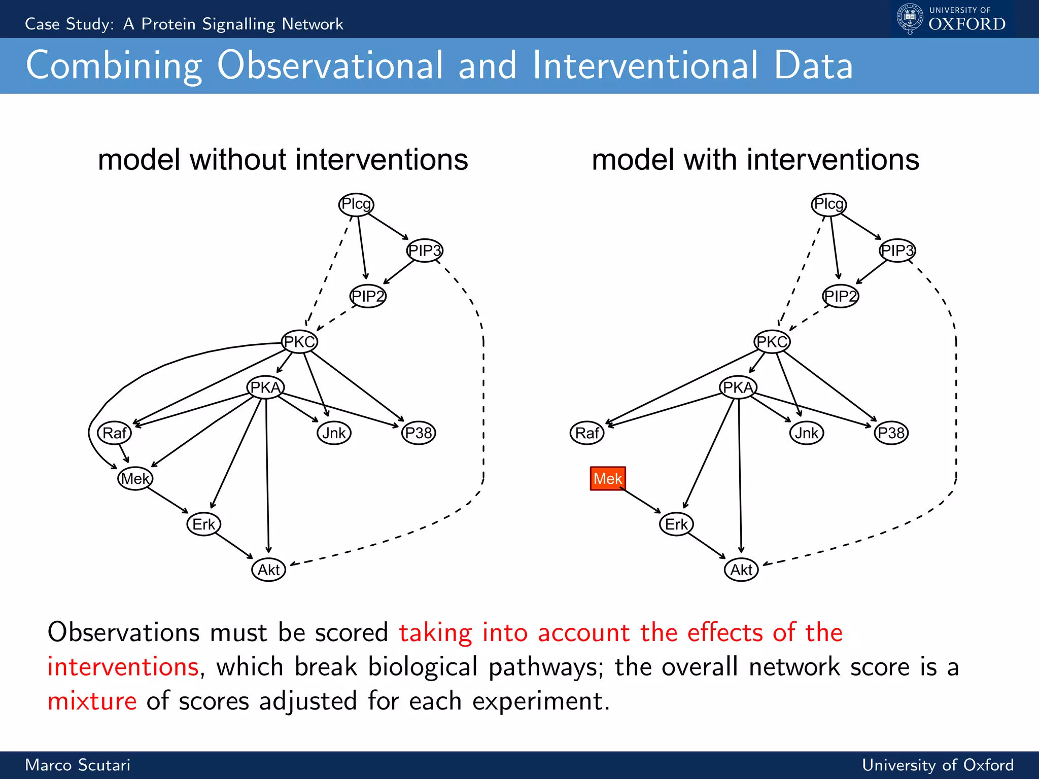 Case Study: A Protein Signalling Network
Combining Observational and Interventional Data
model without interventions
Akt
Erk
Jnk
Mek
P38
PIP2
PIP3
PKA
PKC
Plcg
Raf
model with interventions
Akt
Erk
Jnk
Mek
P38
PIP2
PIP3
PKA
PKC
Plcg
Raf
Observations must be scored taking into account the eﬀects of the
interventions, which break biological pathways; the overall network score is a
mixture of scores adjusted for each experiment.
Marco Scutari University of Oxford
 