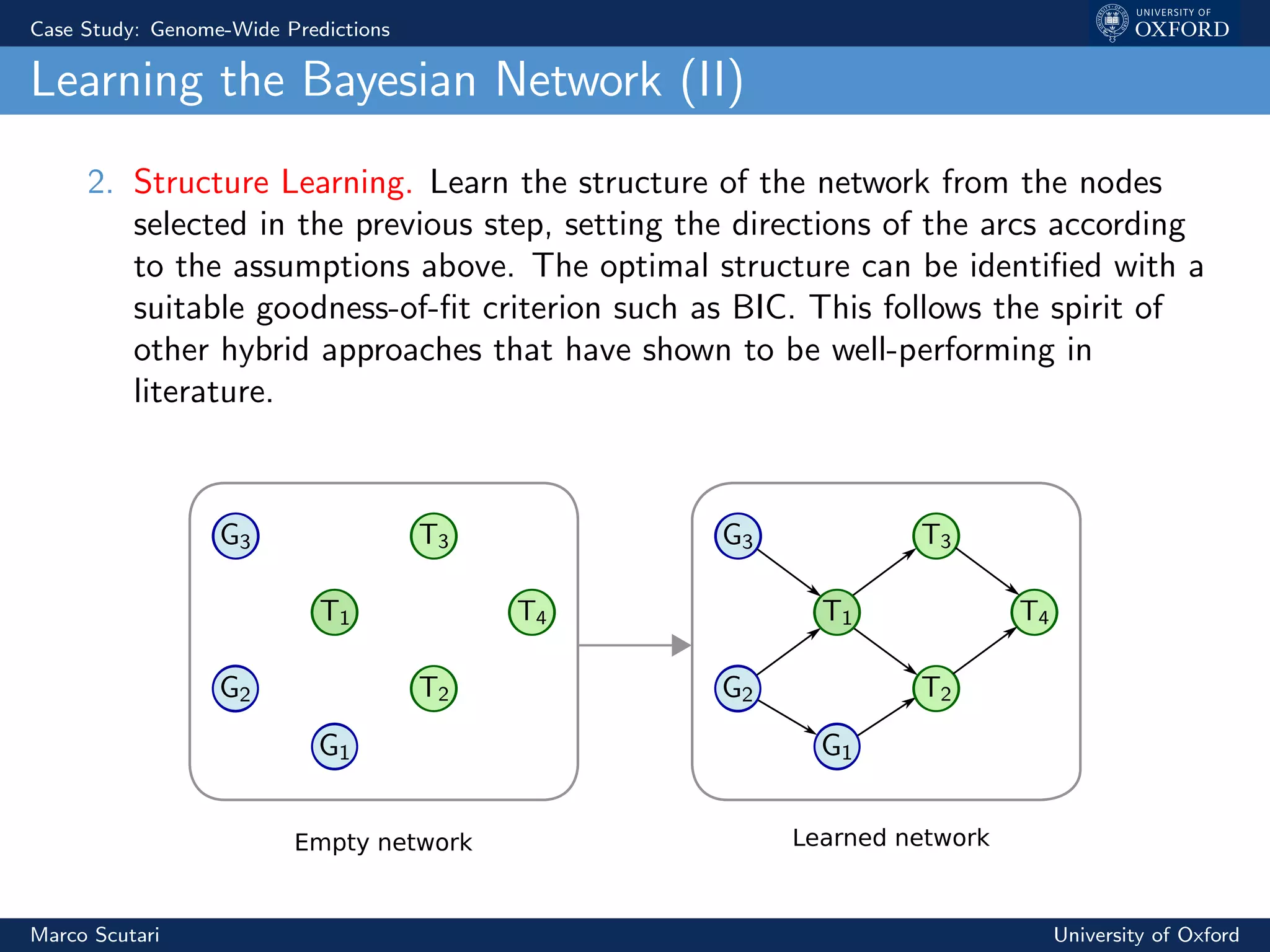 Case Study: Genome-Wide Predictions
Learning the Bayesian Network (II)
2. Structure Learning. Learn the structure of the network from the nodes
selected in the previous step, setting the directions of the arcs according
to the assumptions above. The optimal structure can be identiﬁed with a
suitable goodness-of-ﬁt criterion such as BIC. This follows the spirit of
other hybrid approaches that have shown to be well-performing in
literature.
Empty network Learned network
Marco Scutari University of Oxford
 