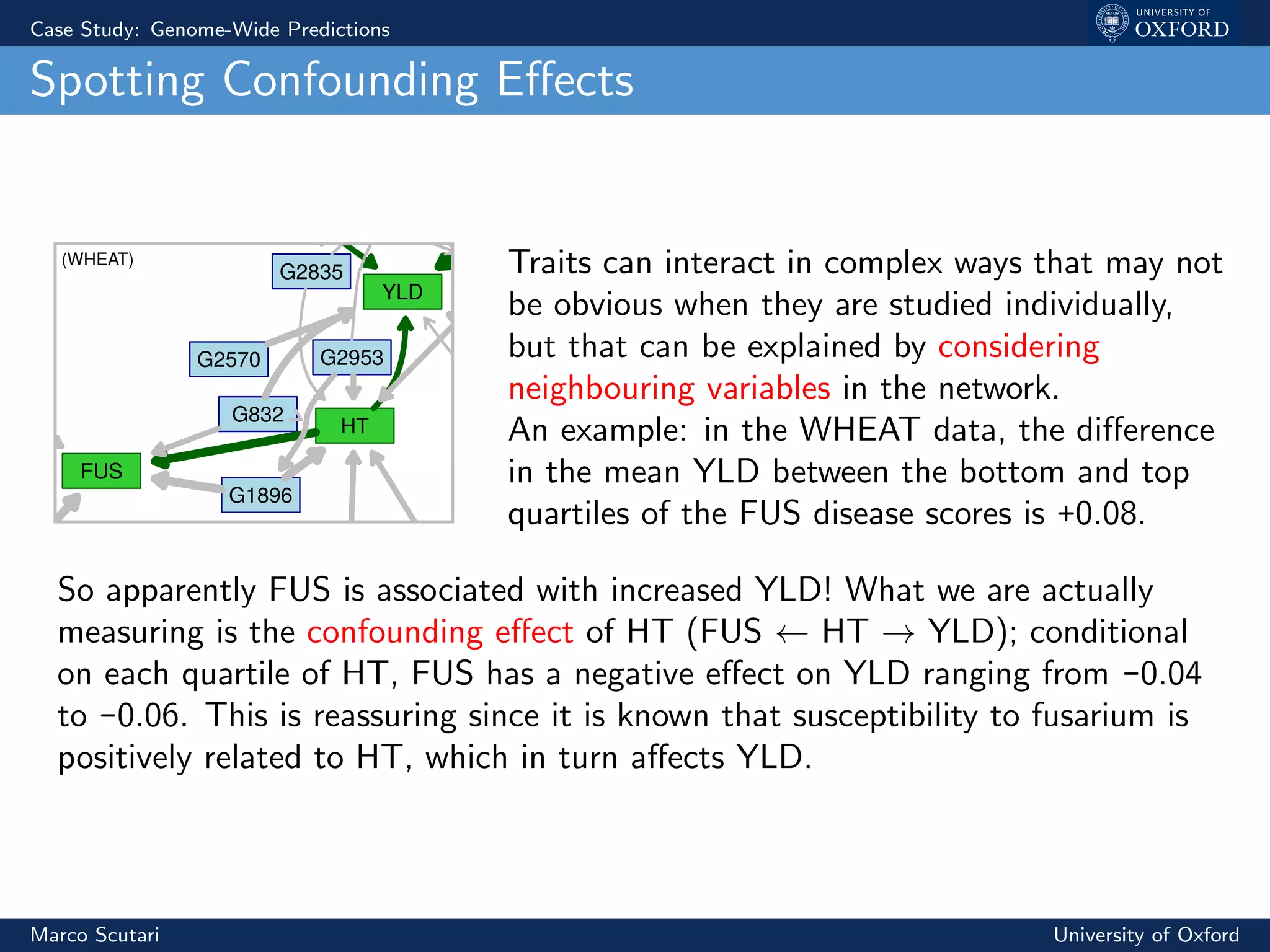 Case Study: Genome-Wide Predictions
Spotting Confounding Eﬀects
HT
G2570
G832
G1896
G2953
YLD
FUS
G2835
(WHEAT) Traits can interact in complex ways that may not
be obvious when they are studied individually,
but that can be explained by considering
neighbouring variables in the network.
An example: in the WHEAT data, the diﬀerence
in the mean YLD between the bottom and top
quartiles of the FUS disease scores is +0.08.
So apparently FUS is associated with increased YLD! What we are actually
measuring is the confounding eﬀect of HT (FUS ← HT → YLD); conditional
on each quartile of HT, FUS has a negative eﬀect on YLD ranging from -0.04
to -0.06. This is reassuring since it is known that susceptibility to fusarium is
positively related to HT, which in turn aﬀects YLD.
Marco Scutari University of Oxford
 