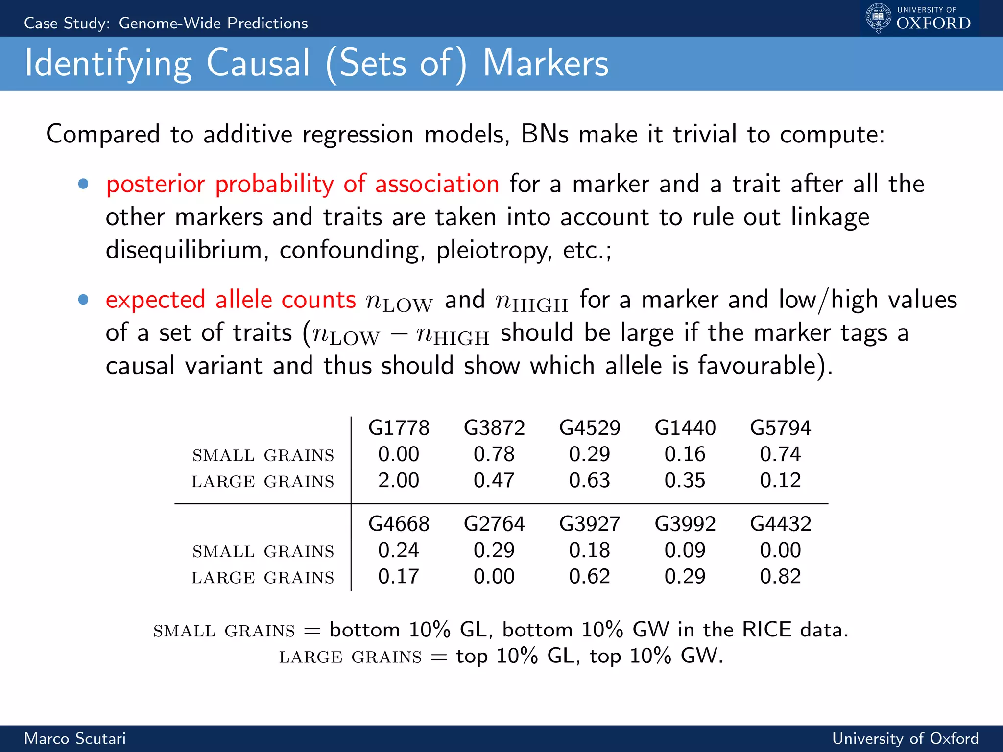 Case Study: Genome-Wide Predictions
Identifying Causal (Sets of) Markers
Compared to additive regression models, BNs make it trivial to compute:
ˆ posterior probability of association for a marker and a trait after all the
other markers and traits are taken into account to rule out linkage
disequilibrium, confounding, pleiotropy, etc.;
ˆ expected allele counts nLOW and nHIGH for a marker and low/high values
of a set of traits (nLOW − nHIGH should be large if the marker tags a
causal variant and thus should show which allele is favourable).
G1778 G3872 G4529 G1440 G5794
small grains 0.00 0.78 0.29 0.16 0.74
large grains 2.00 0.47 0.63 0.35 0.12
G4668 G2764 G3927 G3992 G4432
small grains 0.24 0.29 0.18 0.09 0.00
large grains 0.17 0.00 0.62 0.29 0.82
small grains = bottom 10% GL, bottom 10% GW in the RICE data.
large grains = top 10% GL, top 10% GW.
Marco Scutari University of Oxford
 