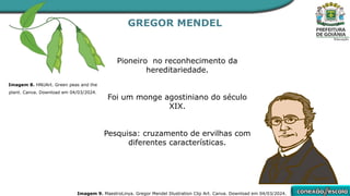 GREGOR MENDEL
Pioneiro no reconhecimento da
hereditariedade.
Foi um monge agostiniano do século
XIX.
Pesquisa: cruzamento de ervilhas com
diferentes características.
Imagem 8. HNUArt. Green peas and the
plant. Canva. Download em 04/03/2024.
Imagem 9. MaestroLinya. Gregor Mendel Illustration Clip Art. Canva. Download em 04/03/2024.
 