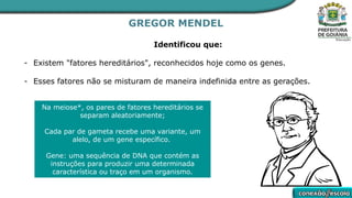 GREGOR MENDEL
Identificou que:
- Existem "fatores hereditários", reconhecidos hoje como os genes.
- Esses fatores não se misturam de maneira indefinida entre as gerações.
Na meiose*, os pares de fatores hereditários se
separam aleatoriamente;
Cada par de gameta recebe uma variante, um
alelo, de um gene específico.
Gene: uma sequência de DNA que contém as
instruções para produzir uma determinada
característica ou traço em um organismo.
 