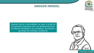 GREGOR MENDEL
Quando ocorre a fecundação, ou seja, a união de
um gameta masculino com um gameta feminino,
os fatores hereditários se combinam, formando o
genótipo do indivíduo resultante.
 