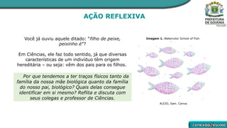 AÇÃO REFLEXIVA
Você já ouviu aquele ditado: “filho de peixe,
peixinho é”?
Em Ciências, ele faz todo sentido, já que diversas
características de um indivíduo têm origem
hereditária – ou seja: vêm dos pais para os filhos.
Por que tendemos a ter traços físicos tanto da
família da nossa mãe biológica quanto da família
do nosso pai, biológico? Quais delas consegue
identificar em si mesmo? Reflita e discuta com
seus colegas e professor de Ciências.
Imagem 1. Watercolor School of Fish.
ALEJO, Isen. Canva.
 