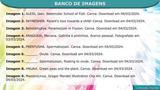 BANCO DE IMAGENS
Imagem 1. ALEJO, Isen. Watercolor School of Fish. Canva. Download em 04/03/2024.
Imagem 2. SKYNESHER. Parent's love towards a child! Canva. Download em 04/03/2024.
Imagem 3. BeholdingEye. Paramecium in Fission. Canva. Download em 04/03/2024.
Imagem 4. ARAGUAIA, Mariana. Galinha e pintinhos. Acervo pessoal. Fotografado em
03/03/2024.
Imagem 5. FRENTUSHA. Spermatozoon. Canva. Download em 04/03/2024.
Imagem 6. ______. Ovule. Canva. Download em 04/03/2024.
Imagem 7. ______. Spermatozoon, floating to ovule. Canva. Download em 04/03/2024.
Imagem 8. HNUArt. Green peas and the plant. Canva. Download em 04/03/2024.
Imagem 9. MaestroLinya. Gregor Mendel Illustration Clip Art. Canva. Download em
04/03/2024.
 