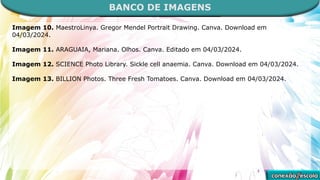 BANCO DE IMAGENS
Imagem 10. MaestroLinya. Gregor Mendel Portrait Drawing. Canva. Download em
04/03/2024.
Imagem 11. ARAGUAIA, Mariana. Olhos. Canva. Editado em 04/03/2024.
Imagem 12. SCIENCE Photo Library. Sickle cell anaemia. Canva. Download em 04/03/2024.
Imagem 13. BILLION Photos. Three Fresh Tomatoes. Canva. Download em 04/03/2024.
 