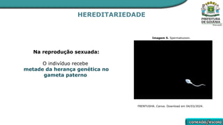 HEREDITARIEDADE
Na reprodução sexuada:
O indivíduo recebe
metade da herança genética no
gameta paterno
Imagem 5. Spermatozoon.
FRENTUSHA. Canva. Download em 04/03/2024.
 