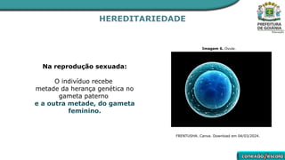 HEREDITARIEDADE
Na reprodução sexuada:
O indivíduo recebe
metade da herança genética no
gameta paterno
e a outra metade, do gameta
feminino.
Imagem 6. Ovule.
FRENTUSHA. Canva. Download em 04/03/2024.
 