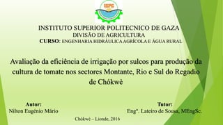 INSTITUTO SUPERIOR POLITECNICO DE GAZA
DIVISÃO DE AGRICULTURA
Tutor:
Eng°. Lateiro de Sousa, MEngSc.
Avaliação da eficiência de irrigação por sulcos para produção da
cultura de tomate nos sectores Montante, Rio e Sul do Regadio
de Chókwè
Chókwè – Lionde, 2016
CURSO: ENGENHARIA HIDRÁULICAAGRÍCOLA E ÁGUA RURAL
Autor:
Nilton Eugénio Mário
 