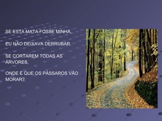 SE ESTA MATA FOSSE MINHA, EU NÃO DEIXAVA DERRUBAR. SE CORTAREM TODAS AS ÁRVORES, ONDE É QUE OS PÁSSAROS VÃO  MORAR? 