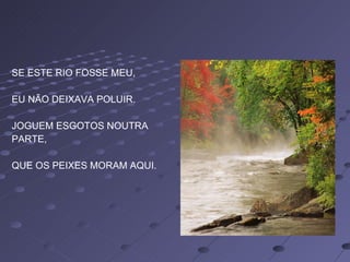 SE ESTE RIO FOSSE MEU, EU NÃO DEIXAVA POLUIR. JOGUEM ESGOTOS NOUTRA PARTE, QUE OS PEIXES MORAM AQUI.  