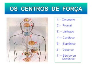 OS  CENTROS  DE  FORÇA 