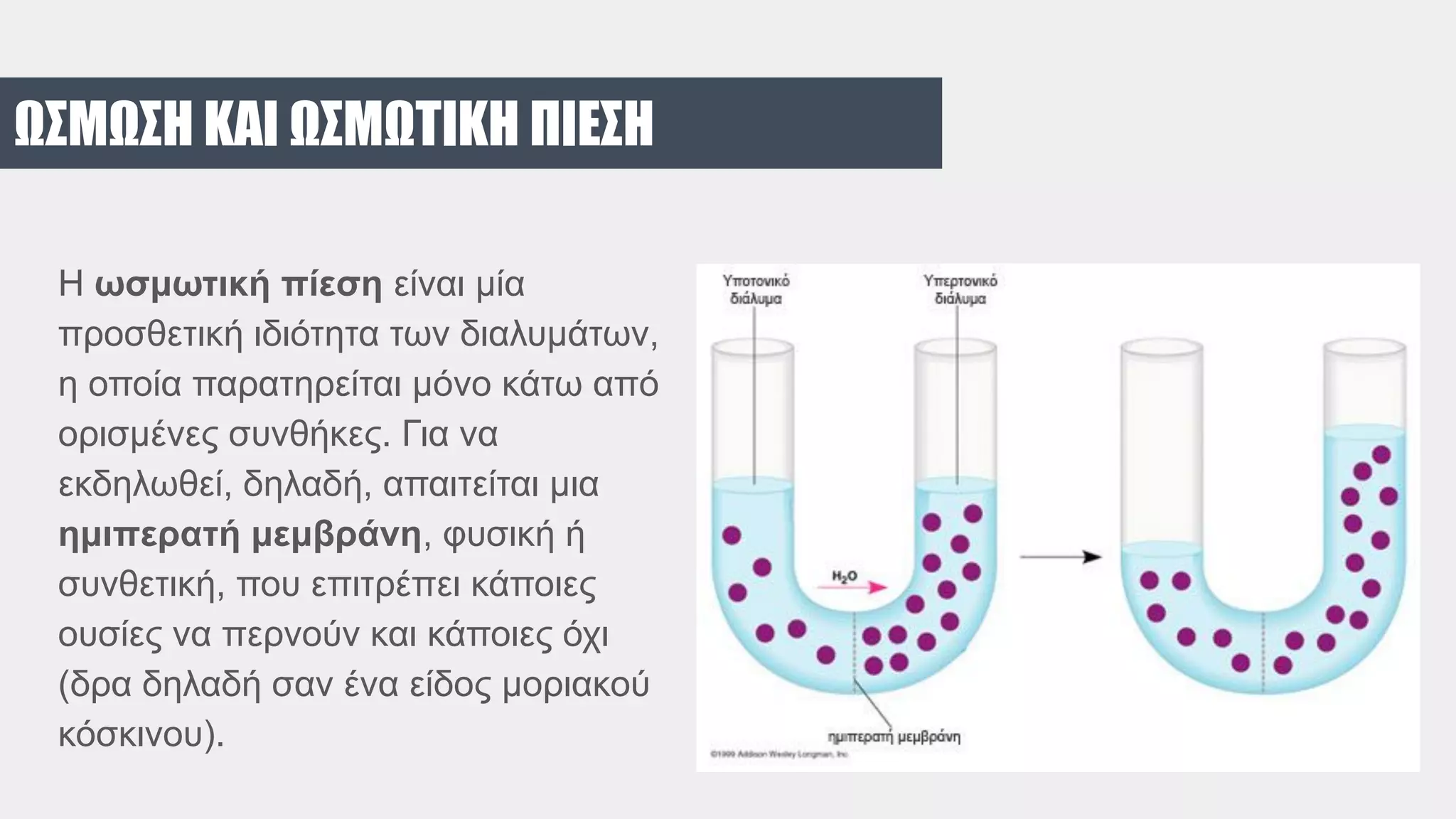 ΩΣΜΩΣΗ ΚΑΙ ΩΣΜΩΤΙΚΗ ΠΙΕΣΗ
H ωσμωτική πίεση είναι μία
προσθετική ιδιότητα των διαλυμάτων,
η οποία παρατηρείται μόνο κάτω από
ορισμένες συνθήκες. Για να
εκδηλωθεί, δηλαδή, απαιτείται μια
ημιπερατή μεμβράνη, φυσική ή
συνθετική, που επιτρέπει κάποιες
ουσίες να περνούν και κάποιες όχι
(δρα δηλαδή σαν ένα είδος μοριακού
κόσκινου).
 