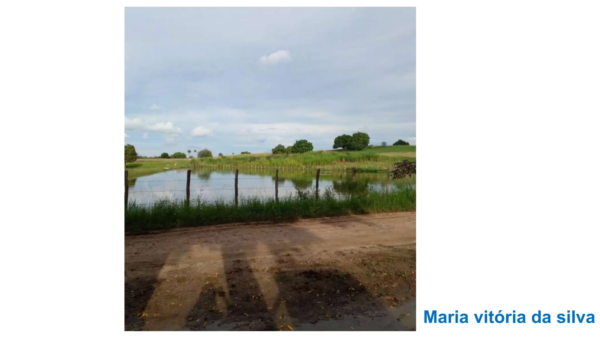 Maria vitória da silva