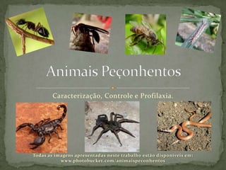 Caracterização, Controle e Profilaxia.
Todas as imagens apresentadas neste trabalho estão disponíveis em:
www.photobucket.com/animaispeconhentos
 